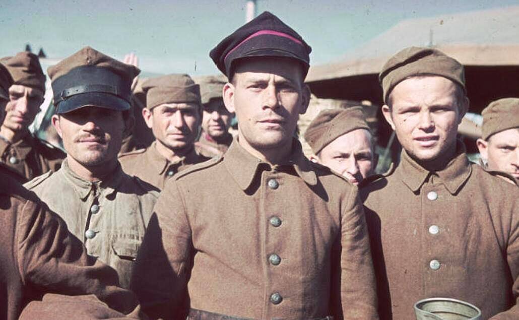 此部队在国家灭亡后依然奋战,德军对其毕恭毕敬_抵抗_德国_海尔