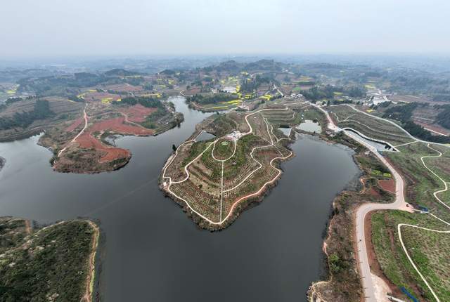 内江东兴区花果山上飞防忙