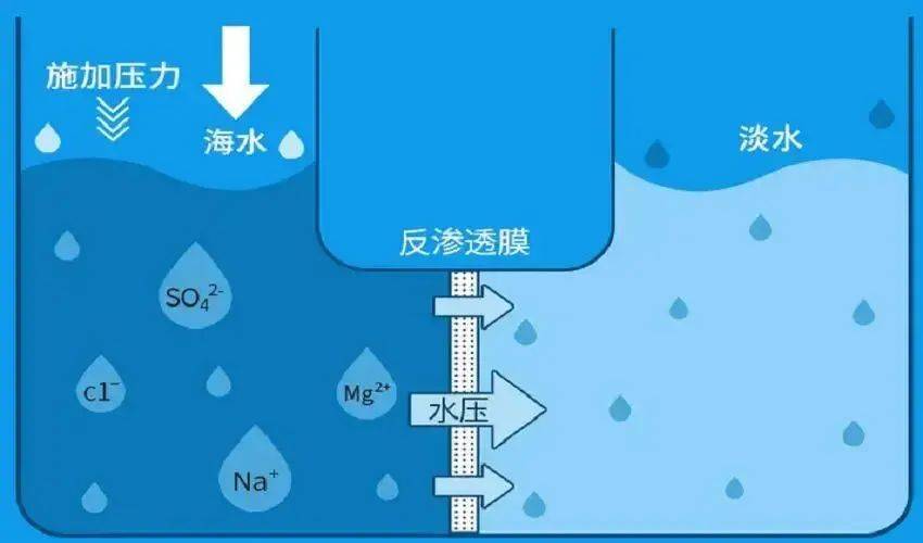 两个瓶子竟能将海水转化为淡水,原理揭秘