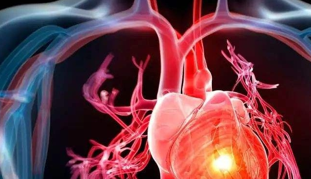 心脏_按摩_养护