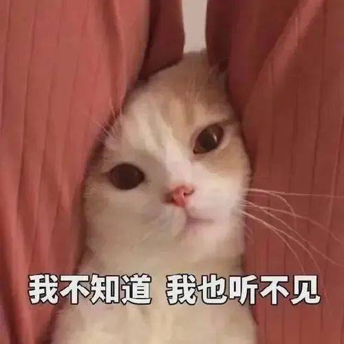 教大家几个预防爆震性耳聋的方法,喜欢放炮的朋友们一定要记住哦~戴