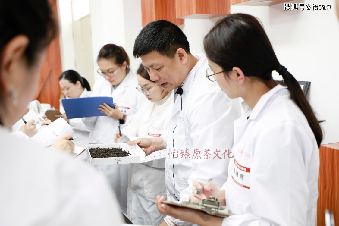 探索茶叶百科解码评茶师眼中的六大茶类的品质好茶