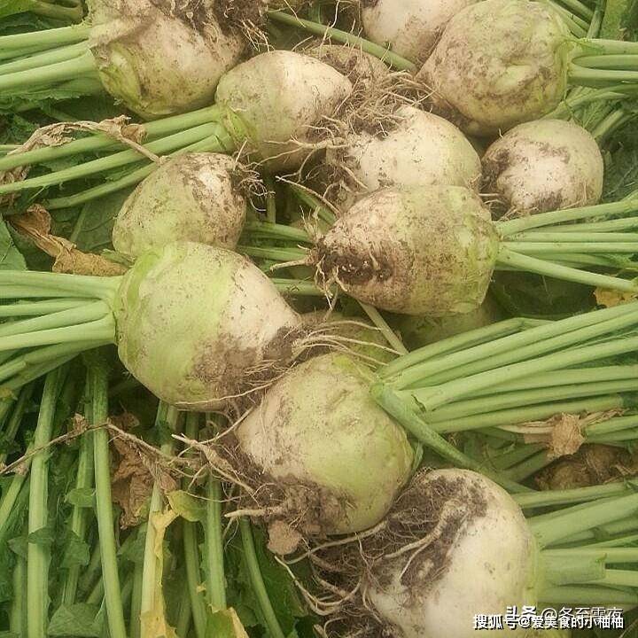 秋季腌咸菜,遇见这菜别手软,买10斤腌上,开胃助消化,秋吃到冬_芥菜