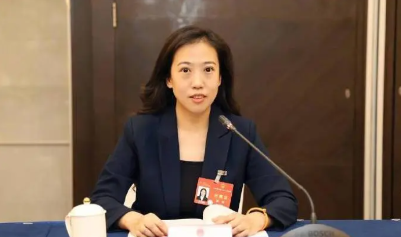 我用你的电你吸我的血人大代表发言建议整治共享充电宝刺客