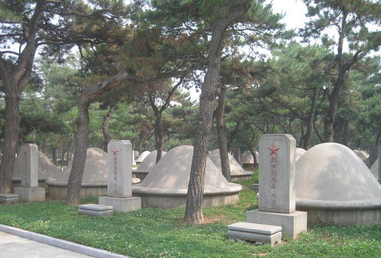 朝北的烈士陵园 曾经荒草丛生 墓碑上面无名无姓_志愿军_墓地_中国