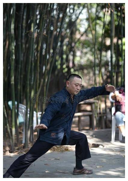 原创太极闭关师父现场验证推手压出合力我的演练获师父认可