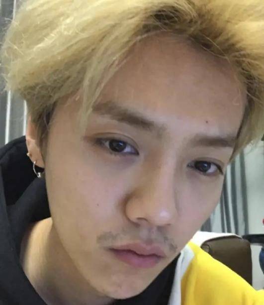 原创告别美食博主之后鹿晗化身宠物博主素颜出境成亮点