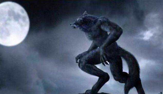 原创国外狼人事件3年袭击200人被银子弹击毙尸体至今不明