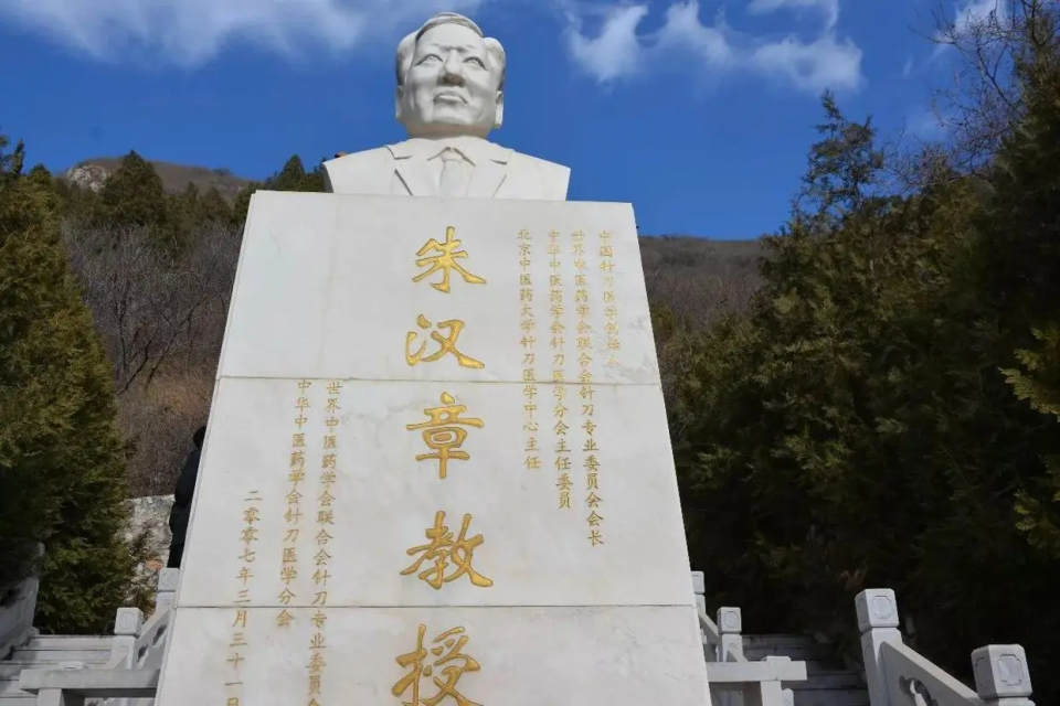 原创华佗金像奖得主朱汉章从赤脚医生到中医针刀医学之父的传奇人生