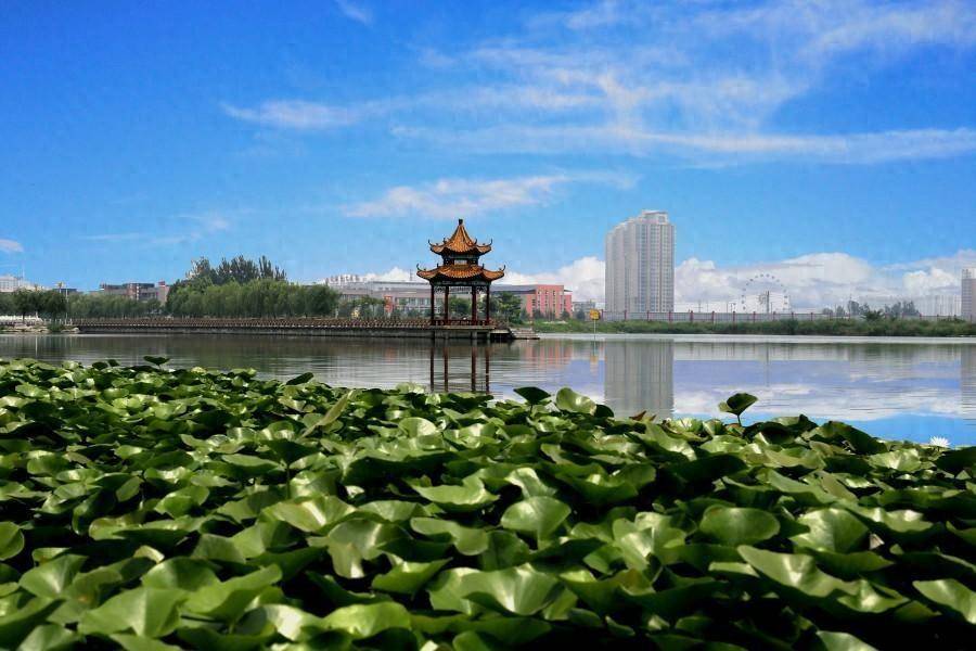 单县浮龙湖景点图片