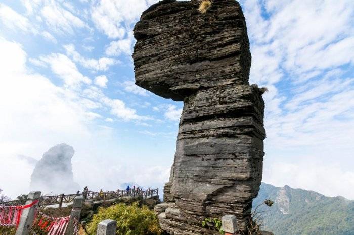 贵州旅游平坝樱花园什么时候开放贵州平坝樱花去过的人教你怎么玩