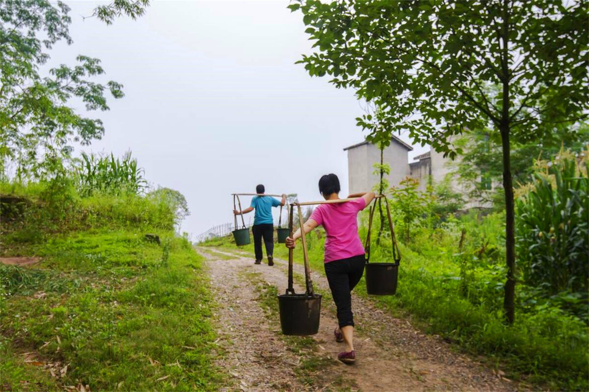 农民挑担图片图片