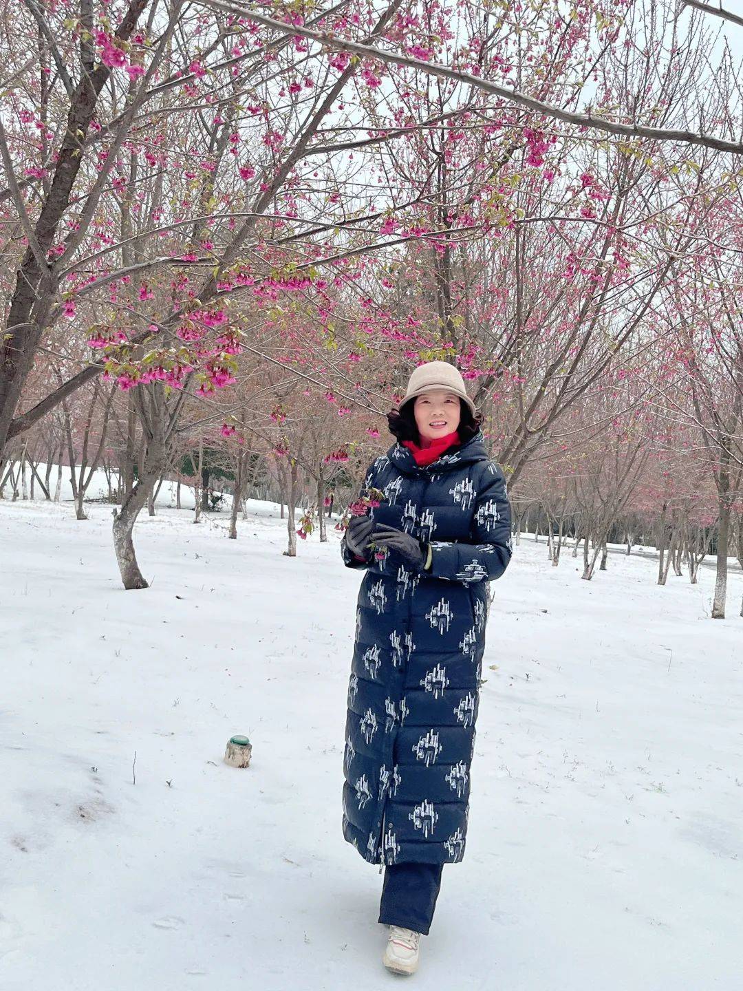 千家年鉴王琼癸卯诗诗词选诗卷