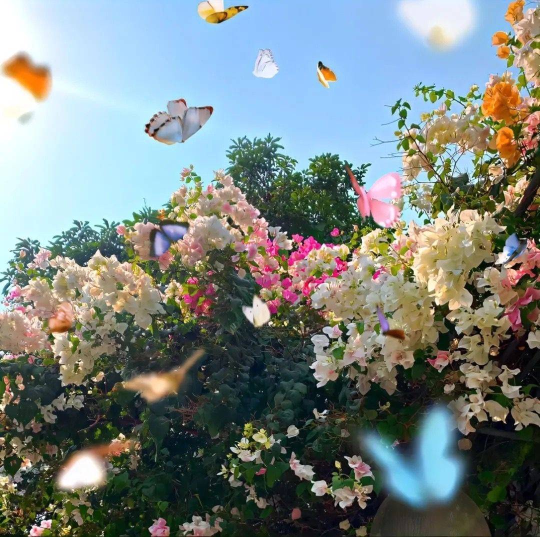 二月二龙抬头,22句暖心话为你开启好运新篇章_生活_阳光_未来