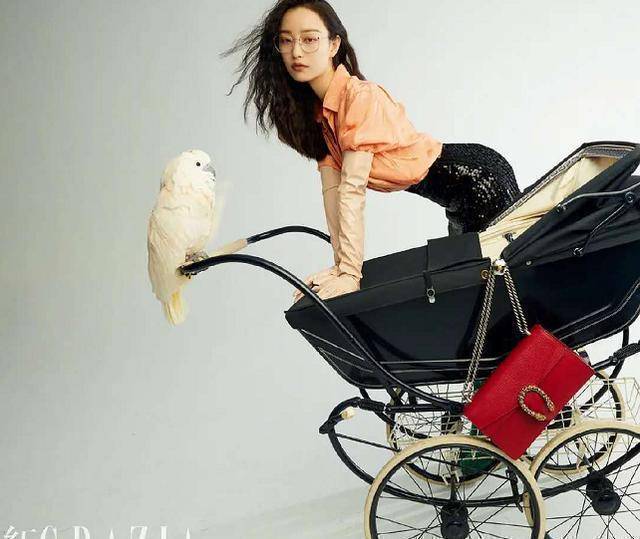原创倪妮真是时尚女王戴墨镜推婴儿车遛鹦鹉大秀时尚身材稳赢baby
