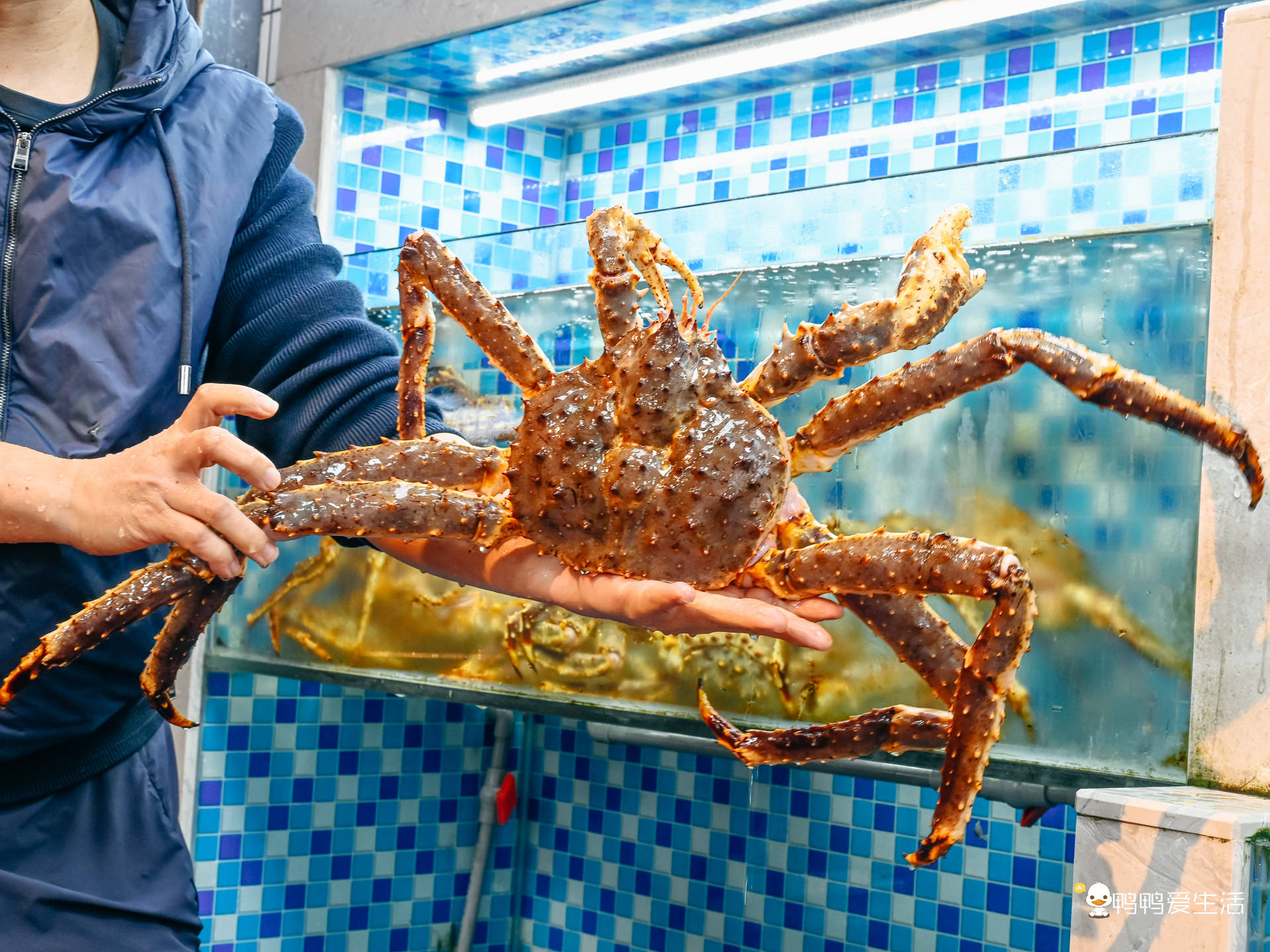 厦门这家排档名字超好记!从生猛海鲜到家常菜都有,来了还想来!