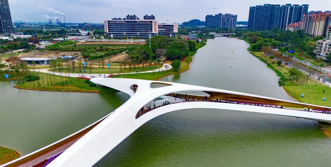 映照出南沙新区的时代风貌与人文韵味桥身曼妙曲线在夜色中绽放流光是