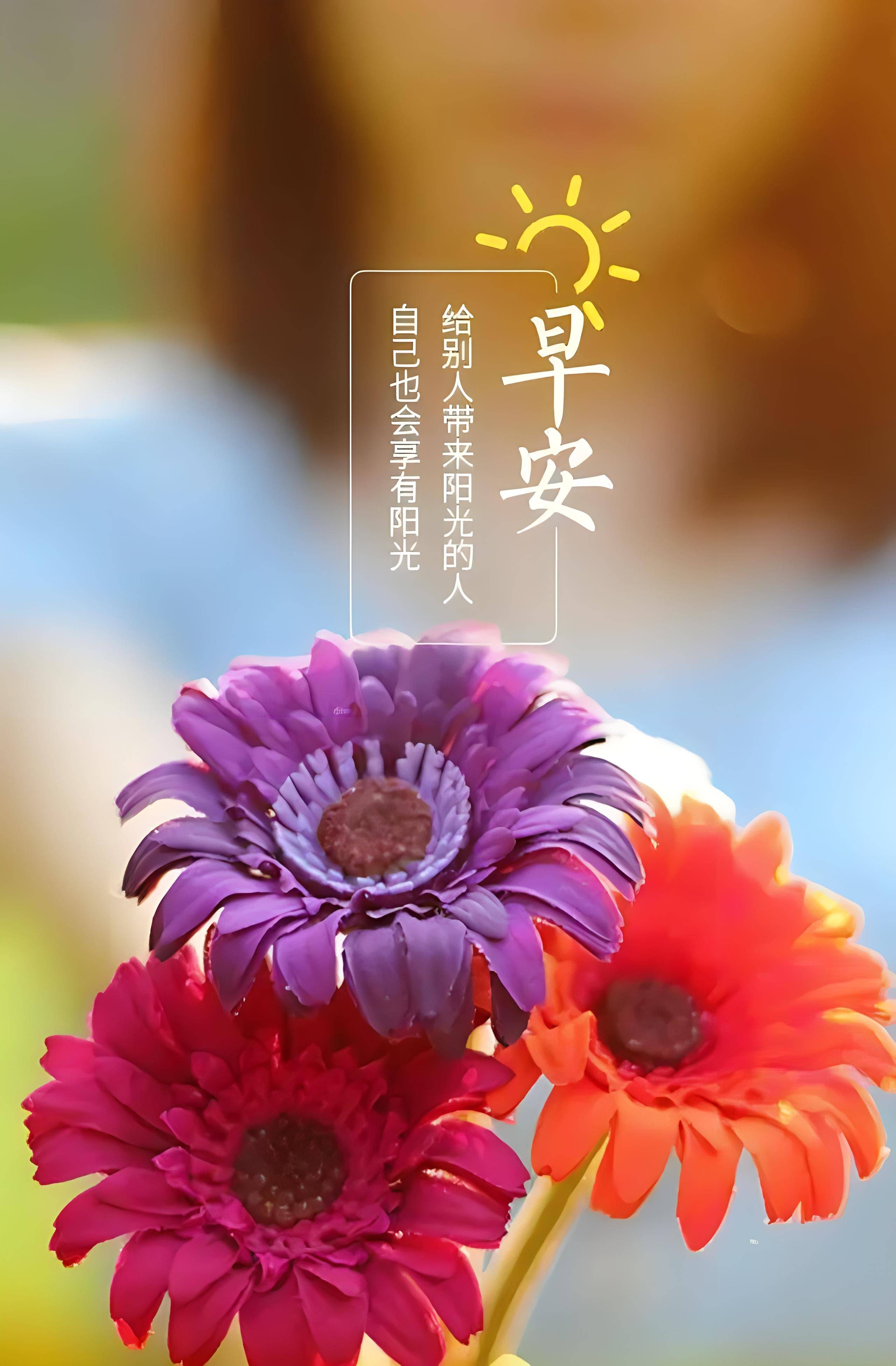 二月初三早安问候,朋友圈温馨祝福,提升你的情商与魅力_生活_亲爱的_