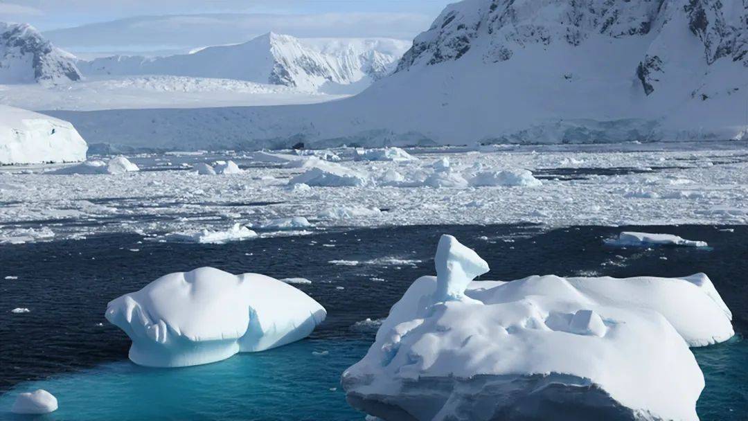原创冰天雪地中的生存奇迹揭秘北极冬季的苦寒世界