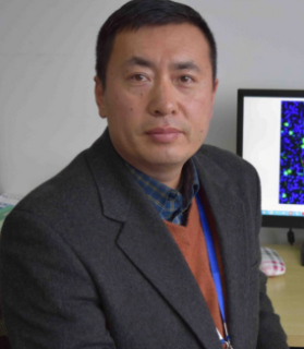 李培军教授山东第一医科大学,中国关于参会嘉宾:李培军博士2011年于