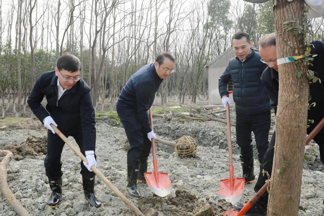 苏州市吴中区四套班子领导参加义务植树活动_绿化_丁立_生态