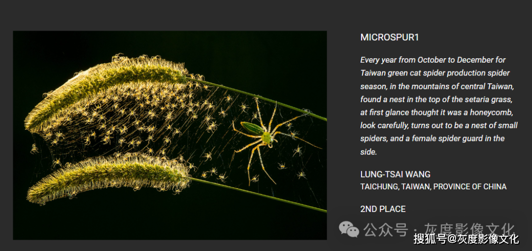 4名中国摄影师获奖灰度影像王龙财老师位列其中