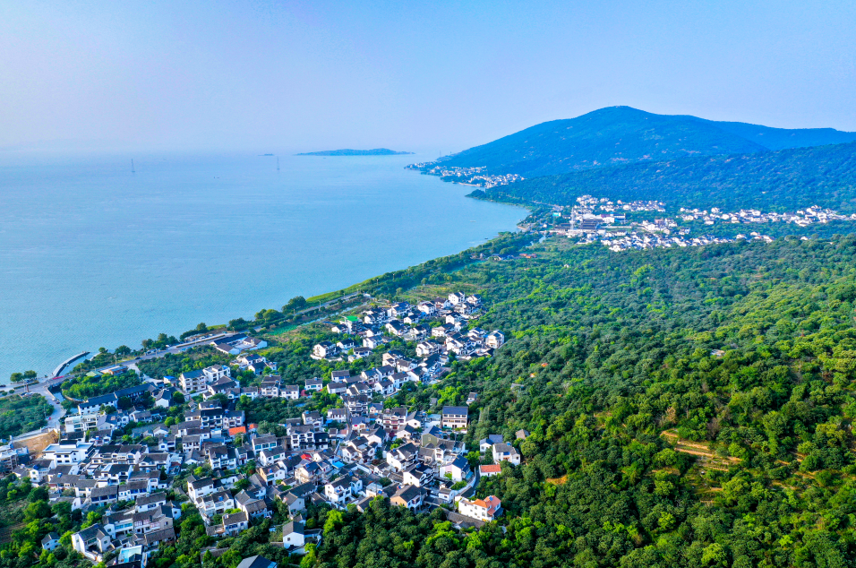 苏州市吴中区四套班子领导参加义务植树活动_绿化_丁立_生态
