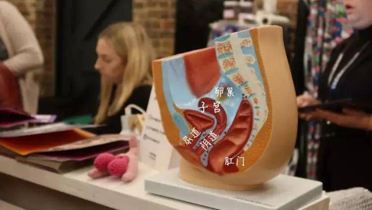 开2年的"阴道博物馆"关闭,扒光了女孩最羞耻的秘密_月经_女性_卫生巾
