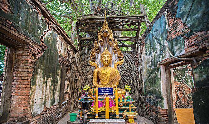 原创泰国高僧龙婆坤一生捐款60亿泰铢活了92岁送葬队伍长16公里