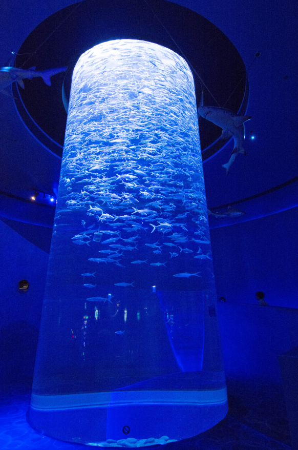 2024香港海洋公园游玩项目 营业时间 交通方式_园区_时速_动感