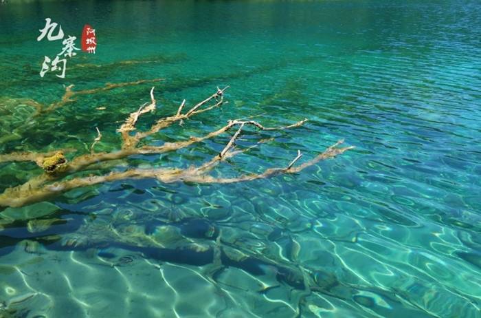 根据自己的时间和想去的景点找林子帮你规划行程,安排住宿交通门票