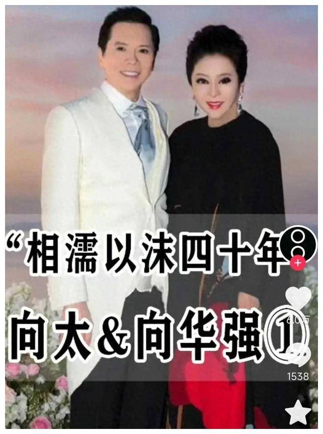 下次将更小心,事件引发无尽讨论_向华强_评论_背景