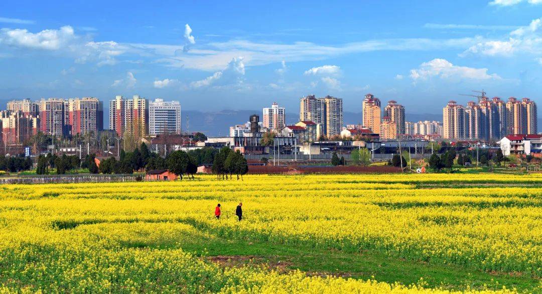 最美三月天丨城固油菜花节系列活动邀你来赴春天之约