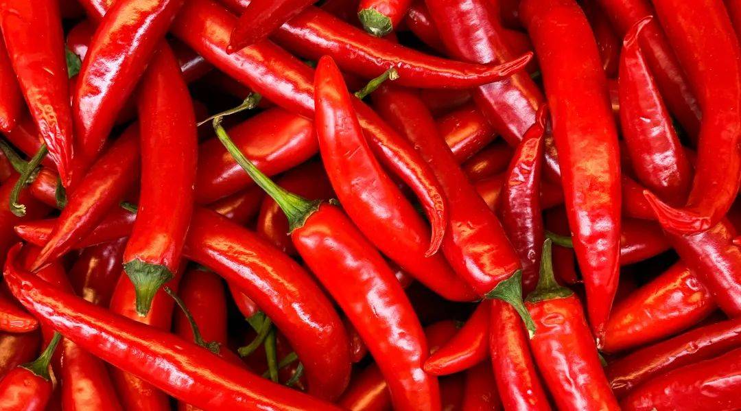 不吃辣椒的人真的亏啦吃辣好处多多哦