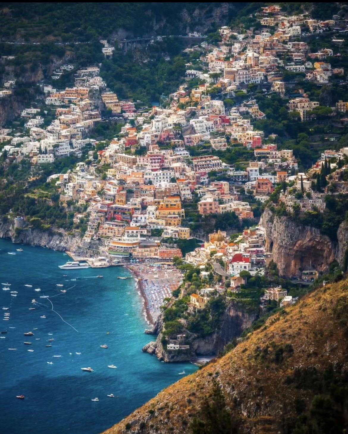 如何区分pph和pp