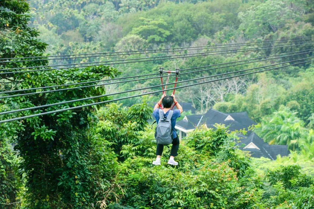 呀诺达_热带雨林_生活