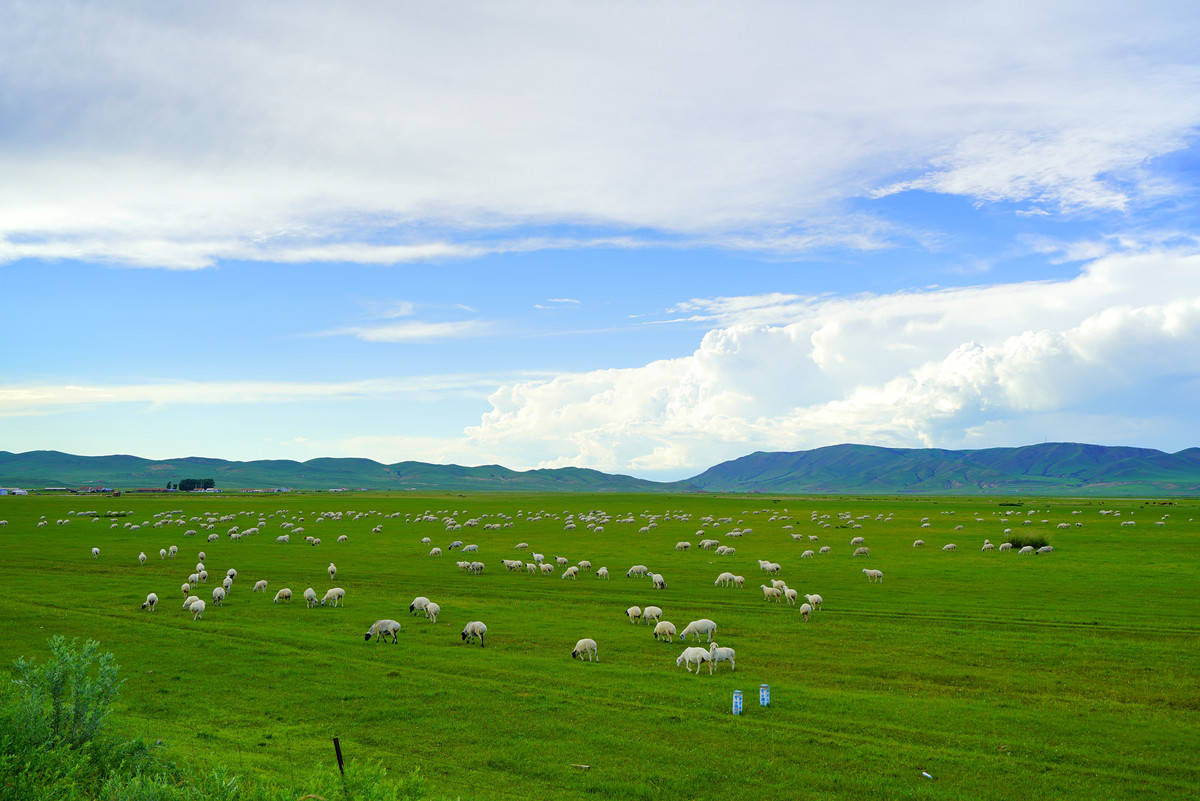 呼伦贝尔草原旅游6天费用,内蒙呼伦贝尔六日游人均费用,内蒙攻略_景区