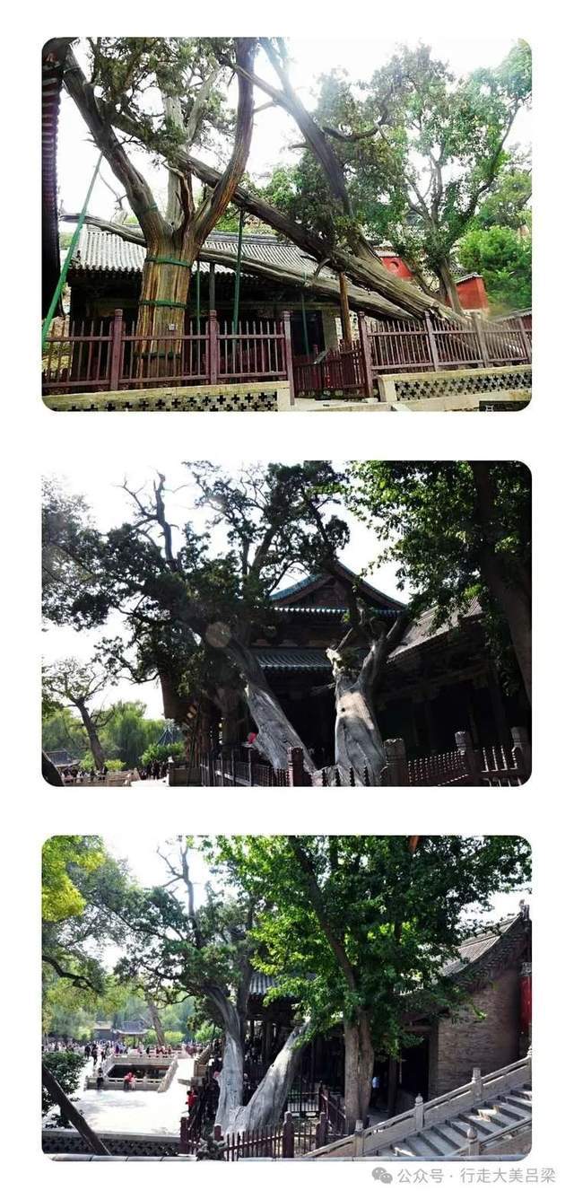 太原国宝系列①晋祠