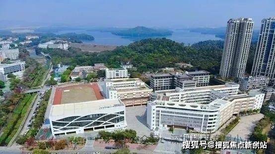 新安中学(集团)外国语学校(一所九年一贯制公办学校),西乡中学(是一所