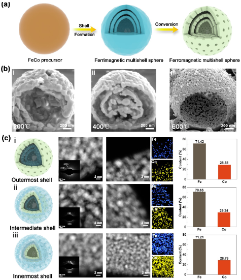 复旦大学最新advancedmaterials