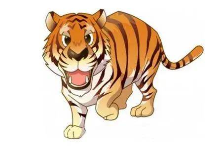 好命虎这两个月份出生的生肖虎注定不凡后半生无忧