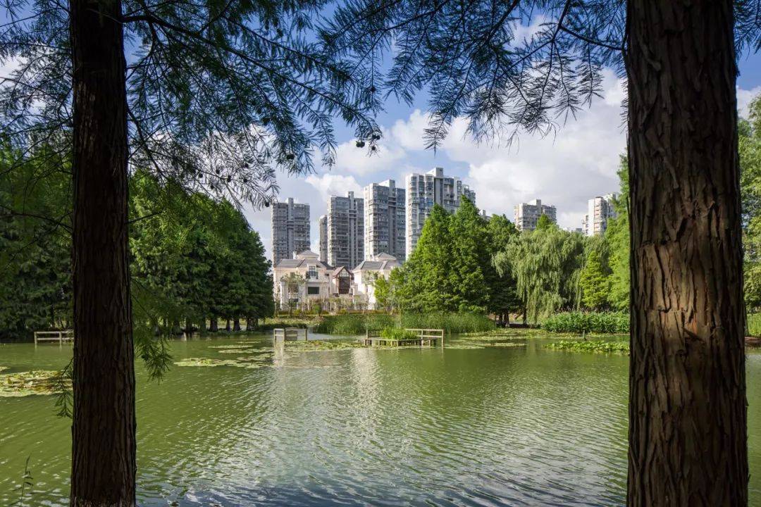 苏州白塘壹号别墅售楼处电话4000005503转9999