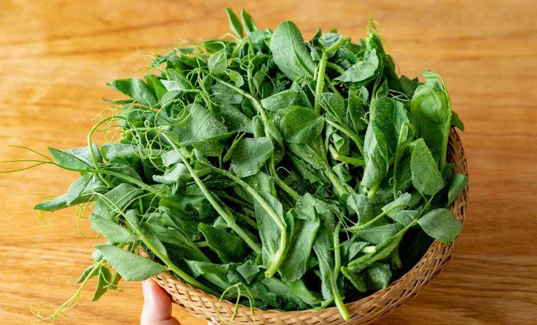 现在吃正是时候!_香椿_韭菜_芦笋