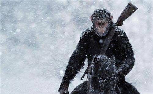 原创科学家发现一只基因变异猩猩有人类一样的手指它能否继续进化