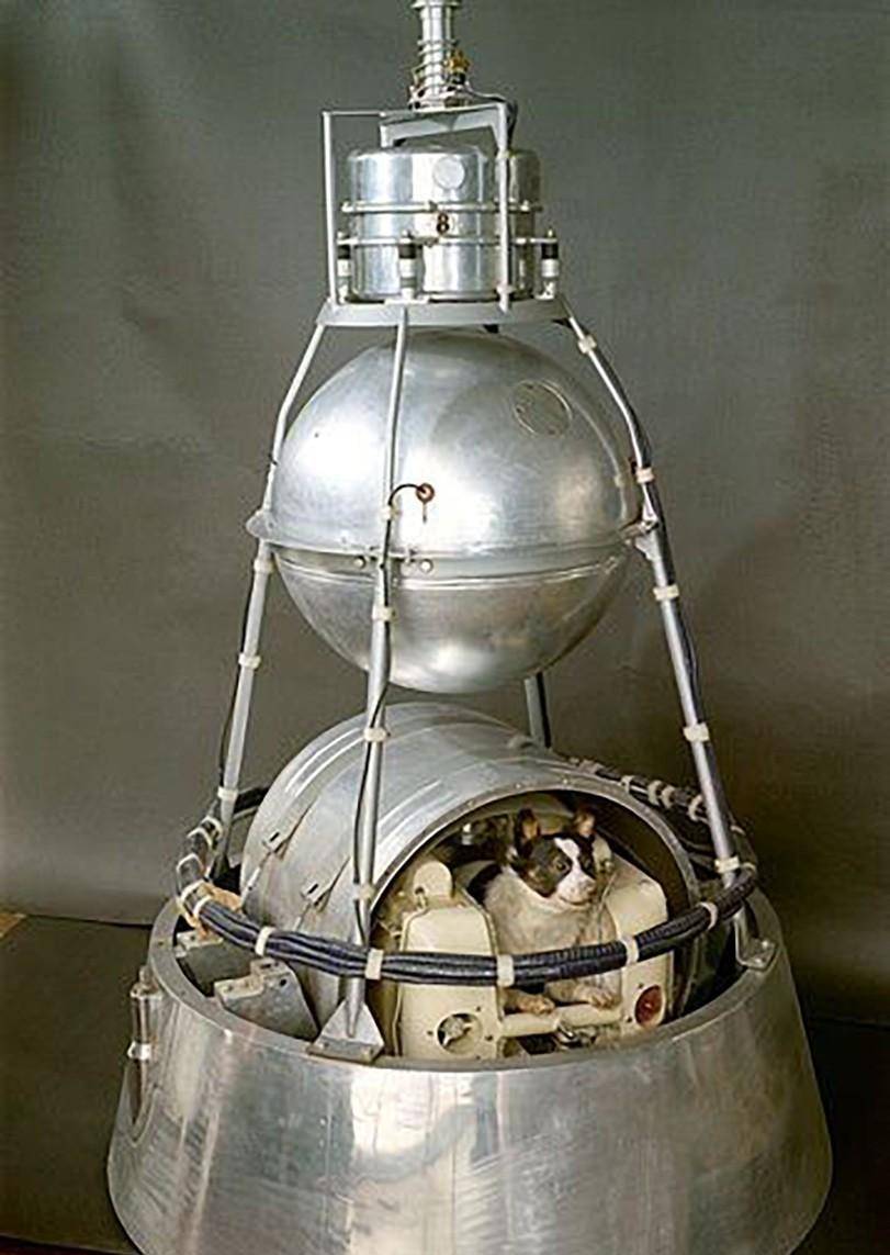 飞行与太空条件下的生理反应,帮助科学家分析人类能否克服失重和过载