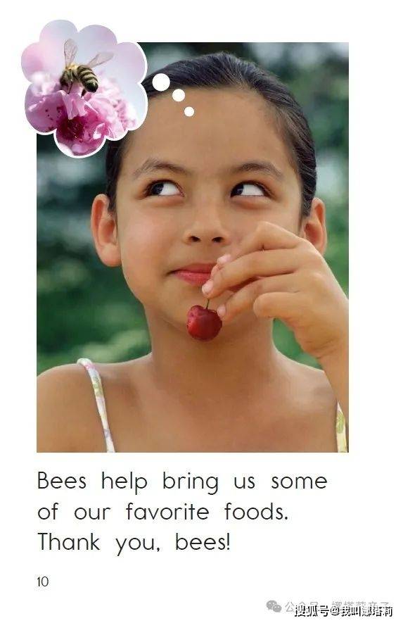 伴读razdbeesfeedme