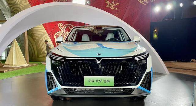 网友:五折也不买_海马汽车_日本_电动车