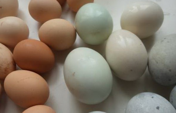 腌鸭蛋时,这"2味"缺一不可,腌好的鸭蛋个个流油起沙_坛子_时候_塑料袋