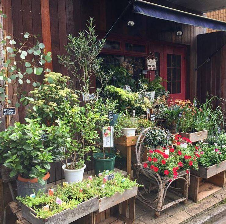 街角的花店有多美