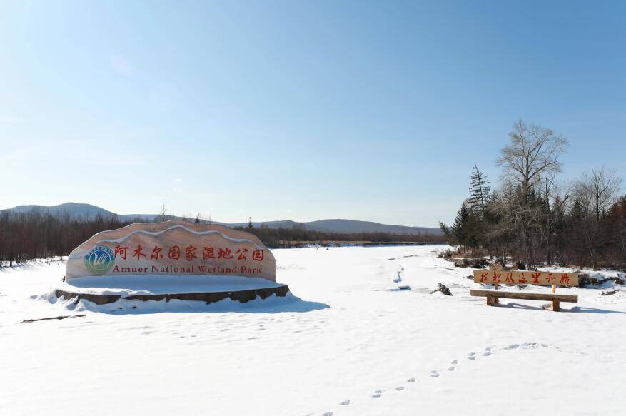 阿木尔林业局国家湿地公园成为拓宽生态产品价值转换的新名片